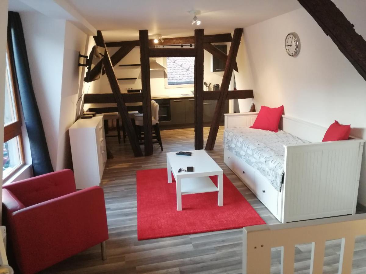 Magnifique Gite Plein Centre De Selestat Sélestat Exterior foto